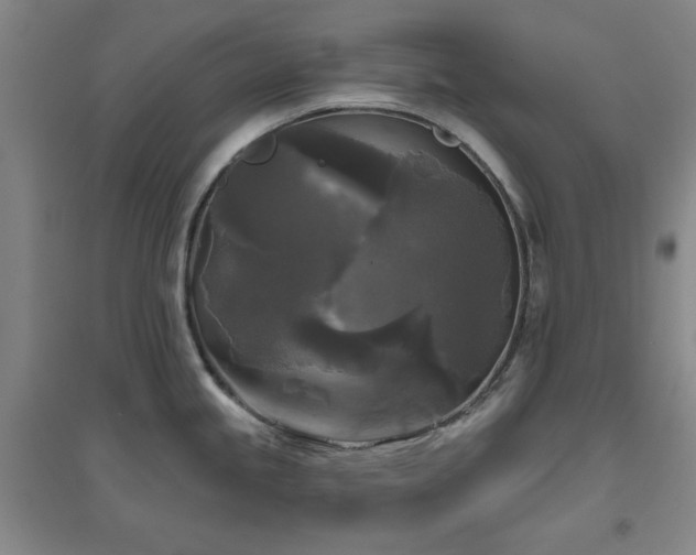 X0000094791245200711161426