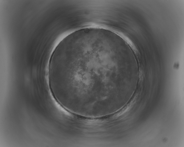 X0000094791247200711161426