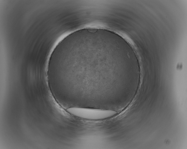 X0000094791248200711161426