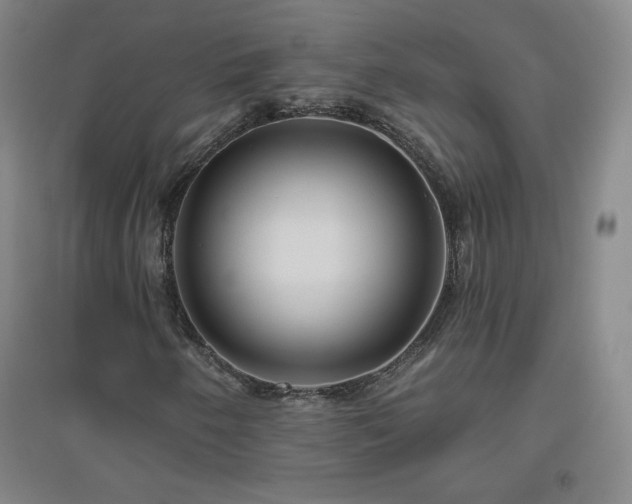 X0000094791250200711161425