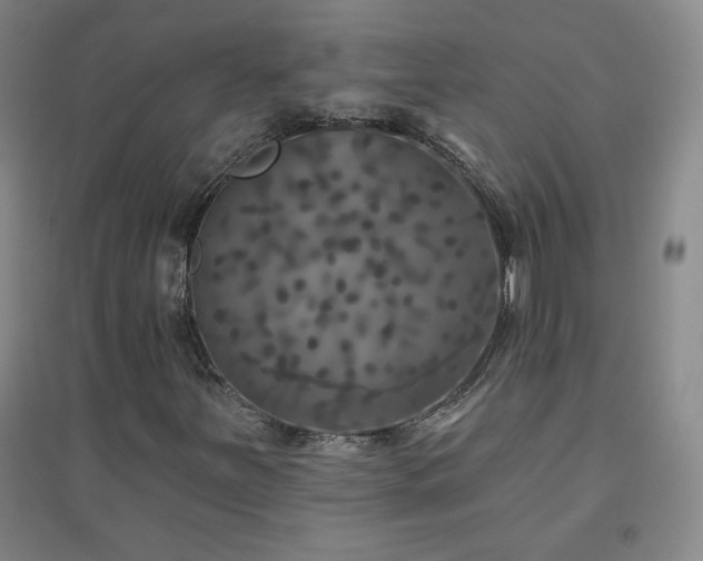 X0000094791251200711161425