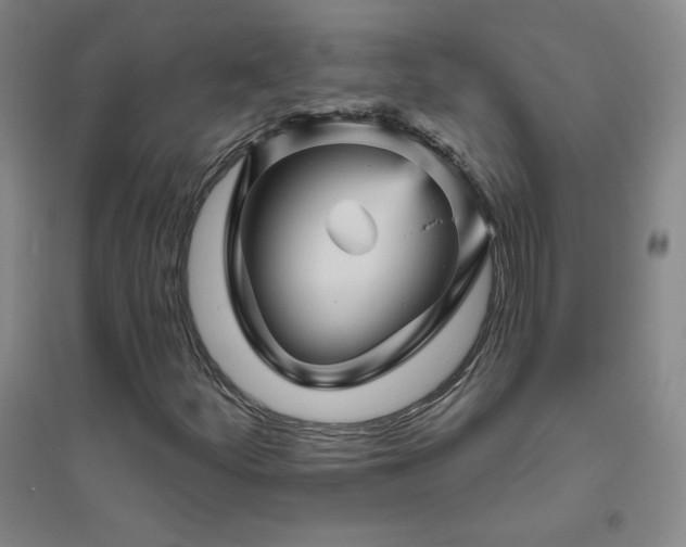 X0000094791252200711161425
