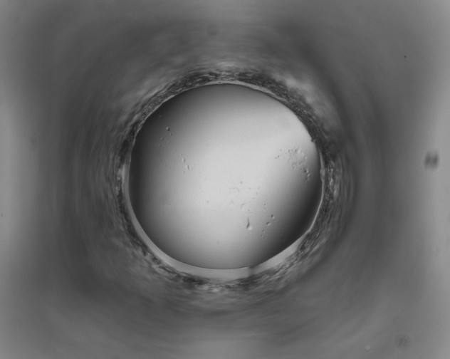 X0000094791253200711161425