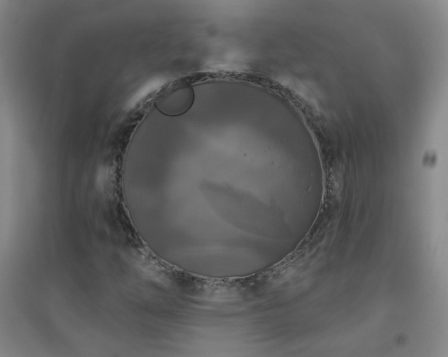X0000094791254200711161425