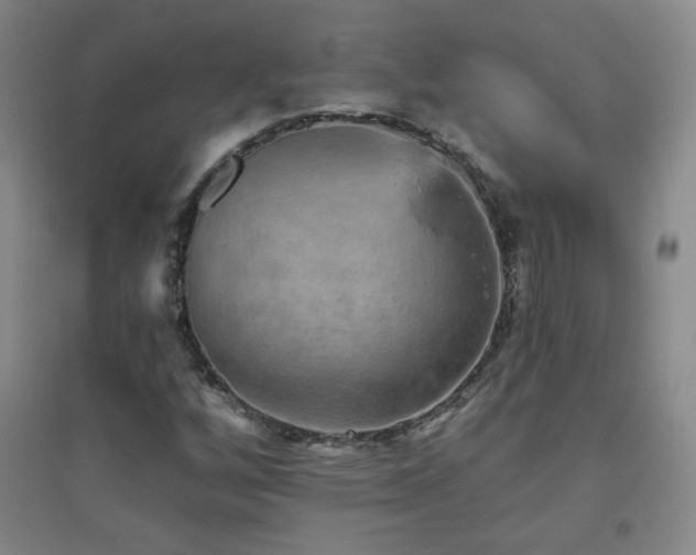 X0000094791256200711161425
