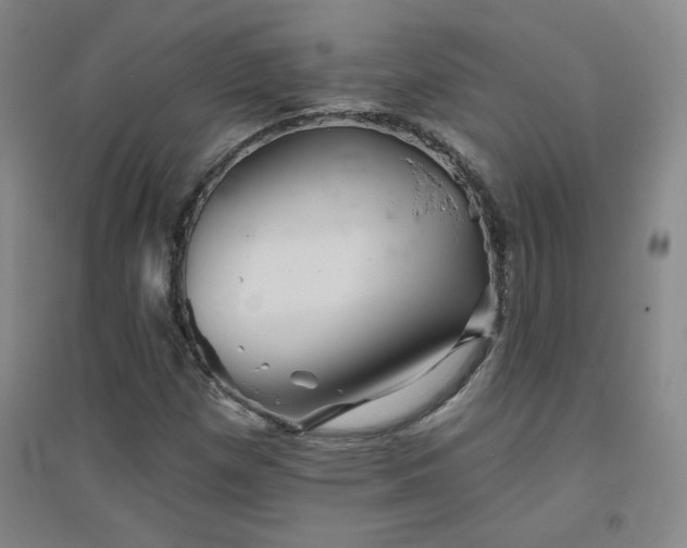 X0000094791257200711161425