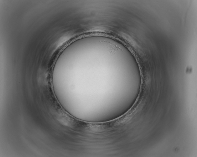 X0000094791258200711161425