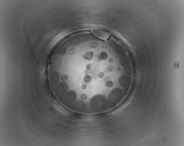 X0000094791259200711161425