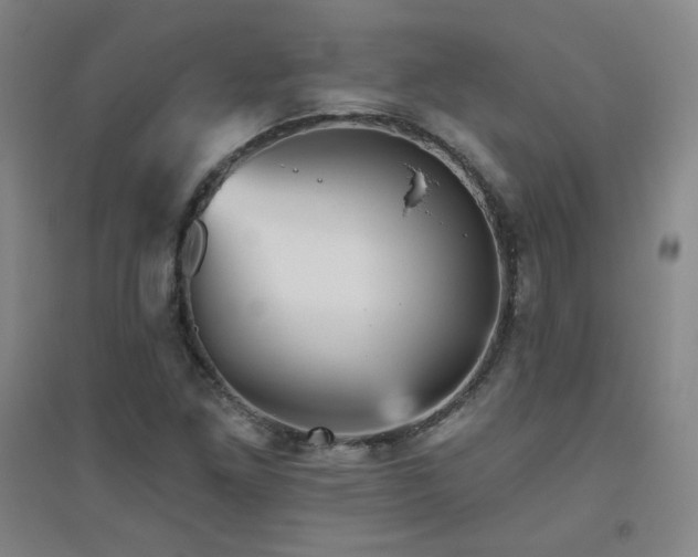 X0000094791261200711161425