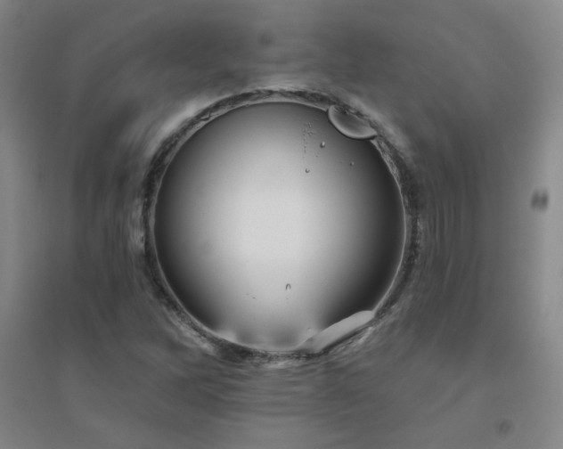 X0000094791262200711161425