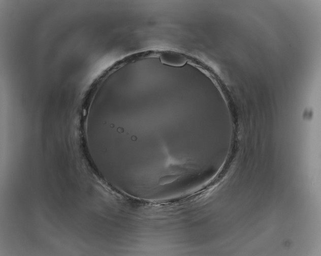 X0000094791263200711161425