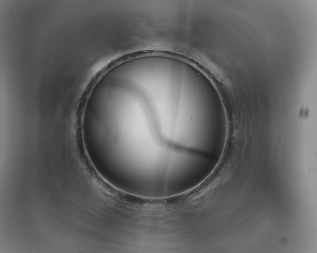 X0000094791264200711161425