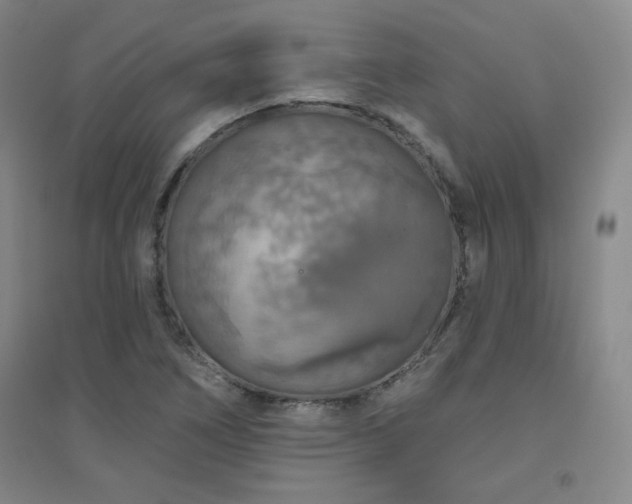 X0000094791266200711161425