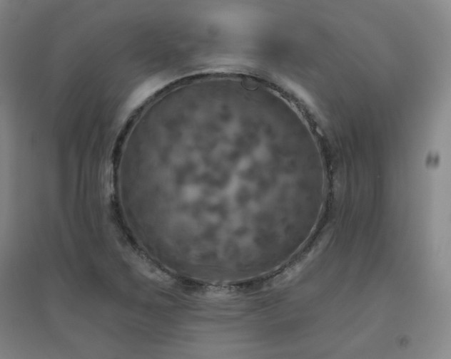 X0000094791267200711161425