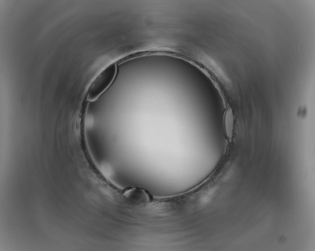 X0000094791268200711161425