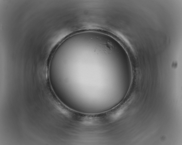X0000094791269200711161425