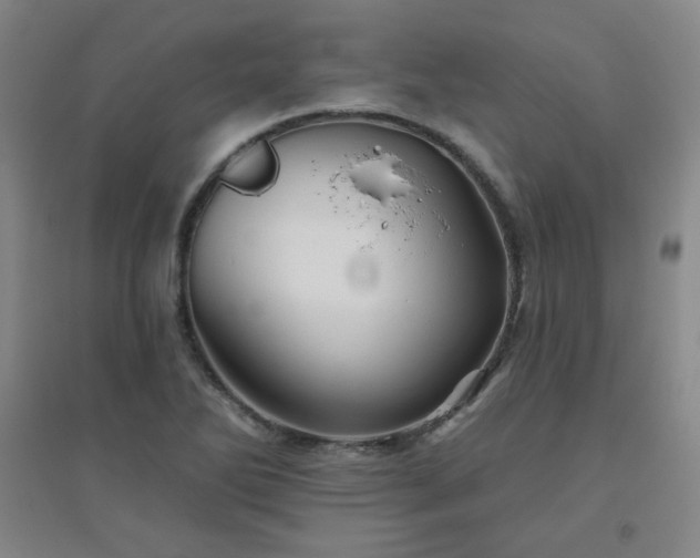 X0000094791270200711161425