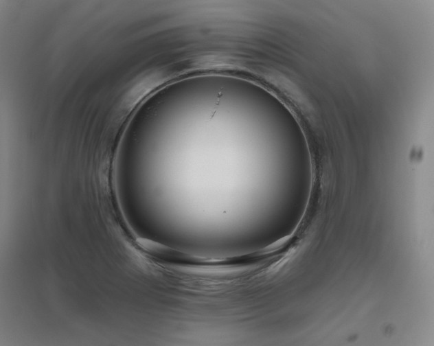 X0000094791273200711161425