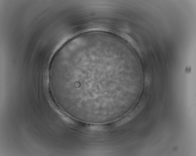 X0000094791274200711161425