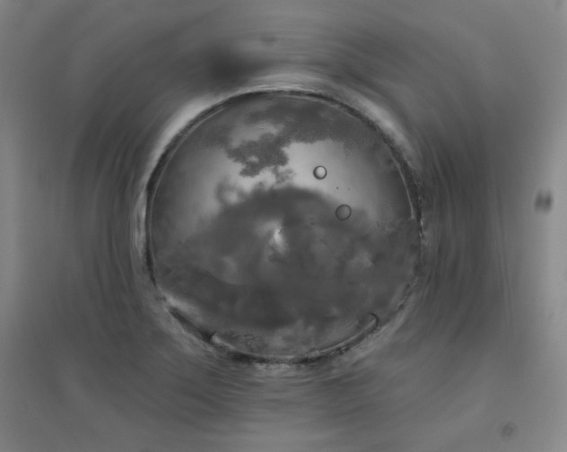 X0000094791275200711161425