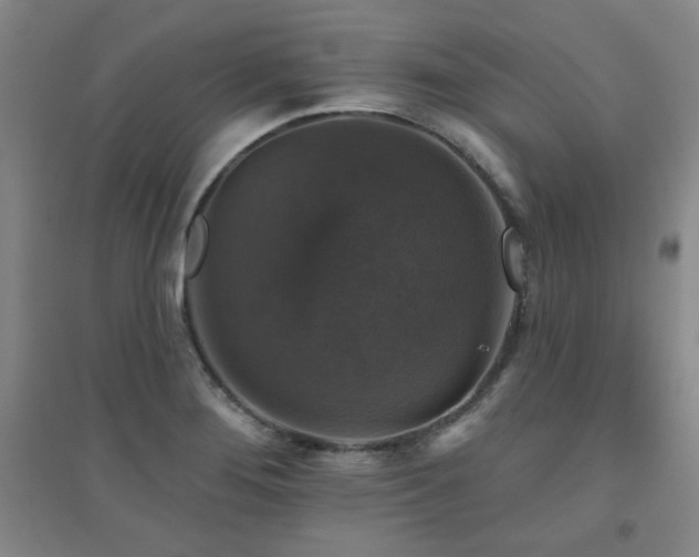 X0000094791276200711161425
