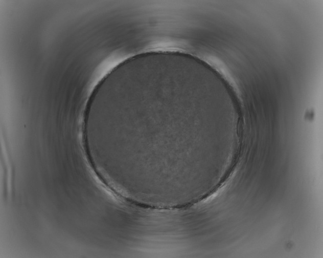 X0000094791277200711161425