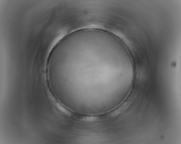 X0000094791278200711161425