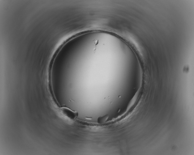 X0000094791280200711161425