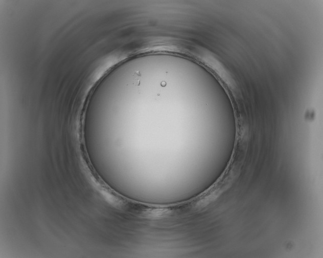 X0000094791282200711161425