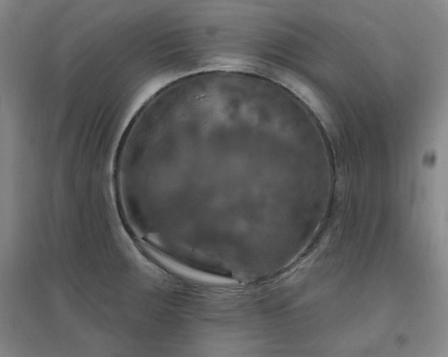 X0000094791283200711161425