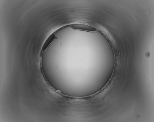 X0000094791284200711161425