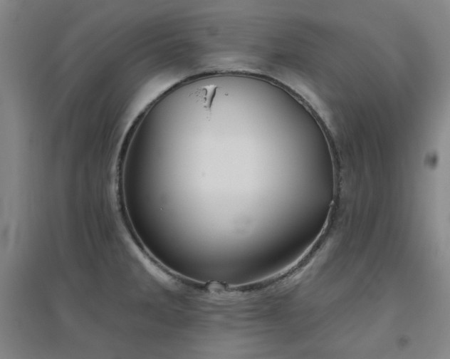 X0000094791285200711161425