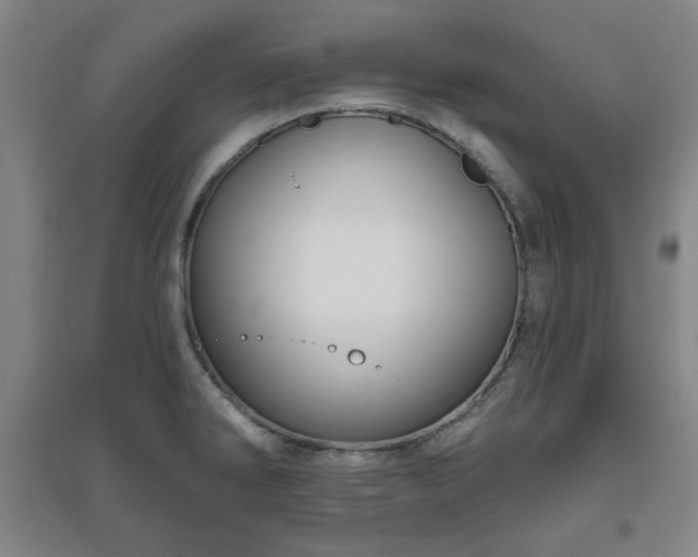 X0000094791286200711161425
