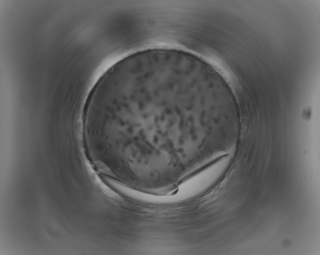 X0000094791287200711161425