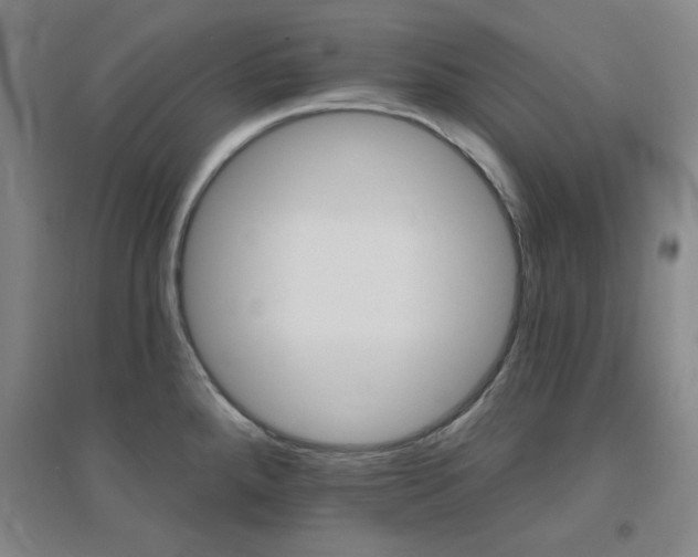 X0000094791288200711161425