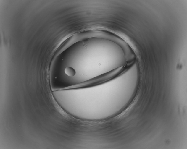 X0000094791289200711161425