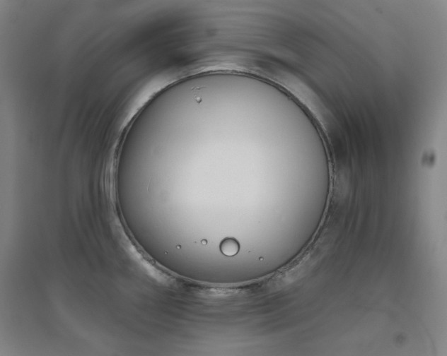 X0000094791290200711161425