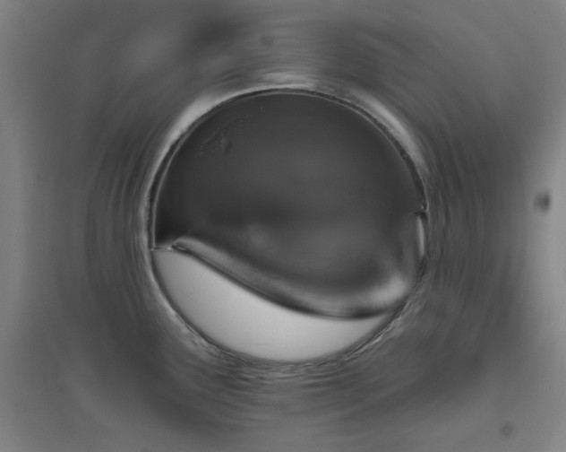 X0000094791291200711161425