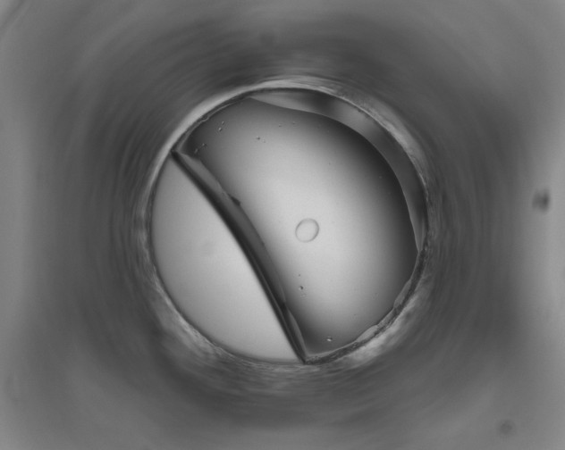 X0000094791292200711161425