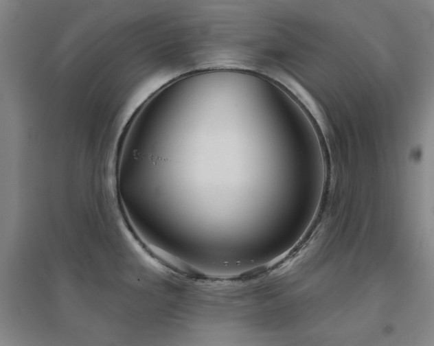 X0000094791293200711161425
