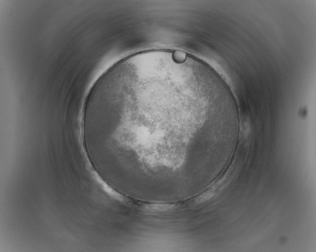 X0000094791294200711161425