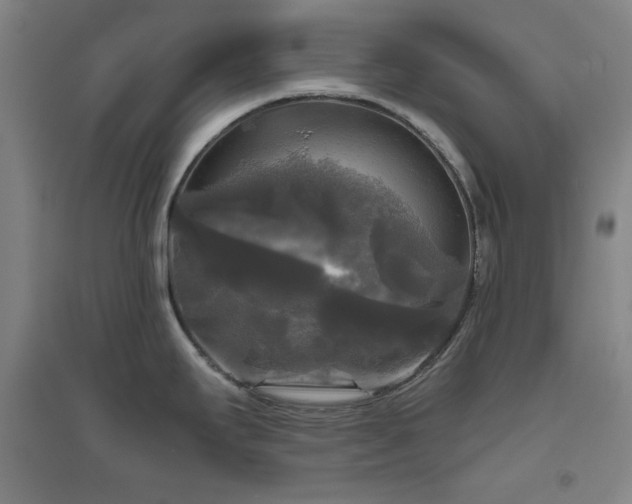 X0000094791295200711161424