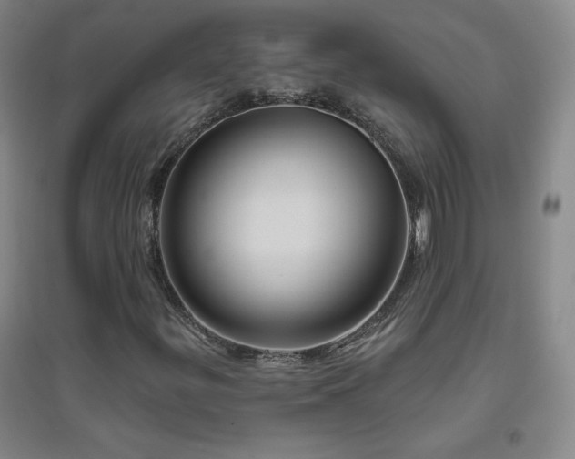 X0000094791299200711161424