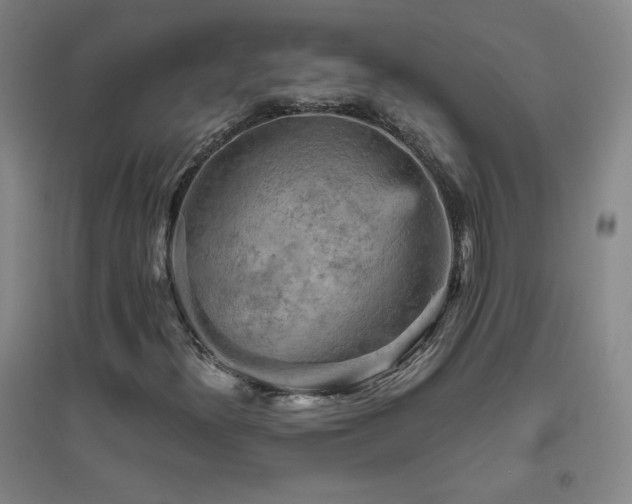 X0000094791300200711161424