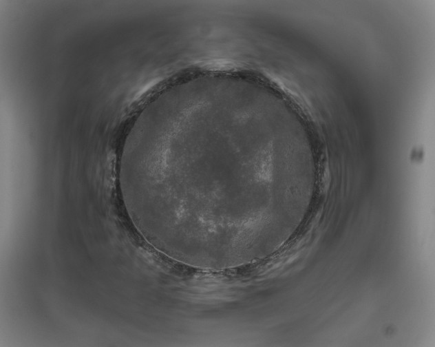 X0000094791301200711161424