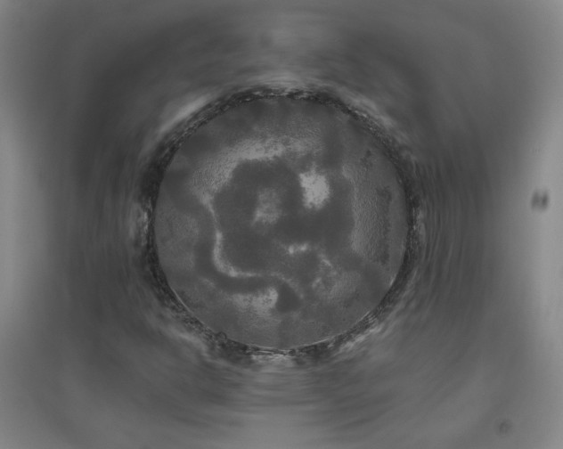 X0000094791302200711161424