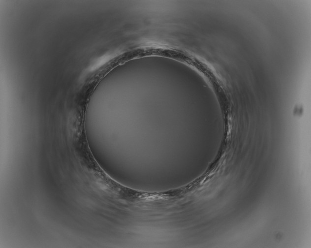 X0000094791303200711161424