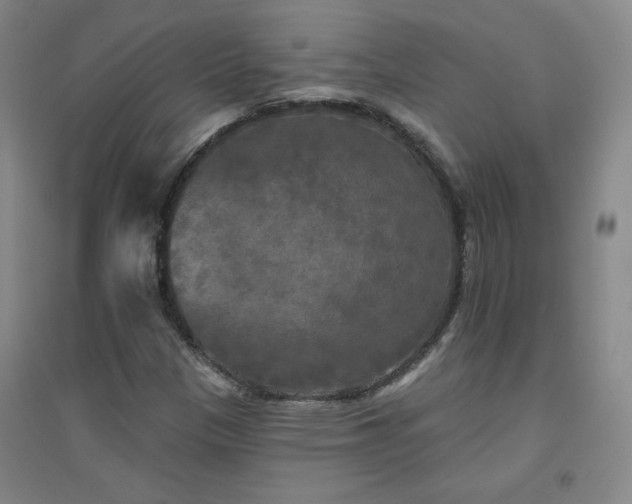 X0000094791305200711161424