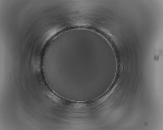 X0000094791306200711161424