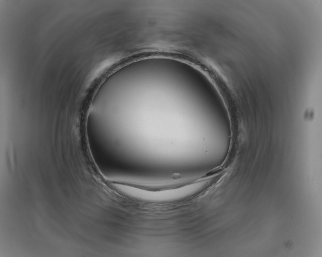 X0000094791307200711161424